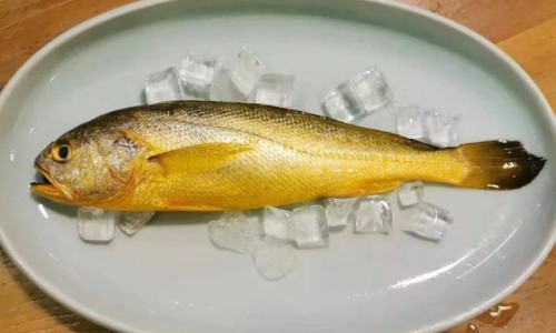 肉皮炖黄豆的营养价值-肉皮炖黄豆的营养-专业肉皮炖黄豆的做法平台-肉皮炖黄豆的功效与作用