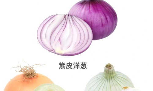 肉皮炖黄豆的营养-专业肉皮炖黄豆的做法平台-肉皮炖黄豆的功效与作用