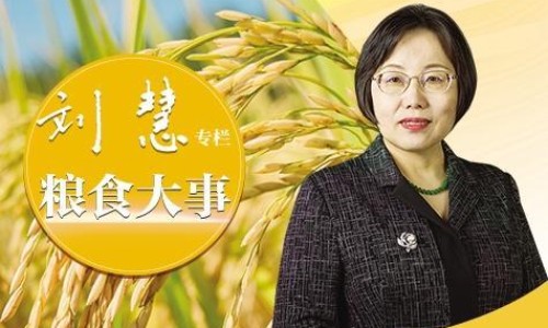 肉皮炖黄豆的做法-肉皮炖黄豆的营养-专业肉皮炖黄豆的做法平台-肉皮炖黄豆的功效与作用
